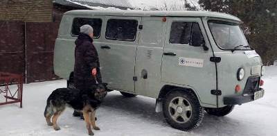 Продолжается регистрация домашних животных в пригороде Ленинского района