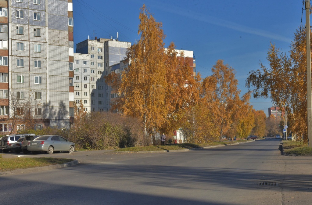 Ул.Шумакова (от ул. 50 лет СССР до проезда Южного Власихинского) (2).JPG