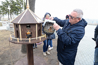 В Нагорном парке Барнаула появились белки