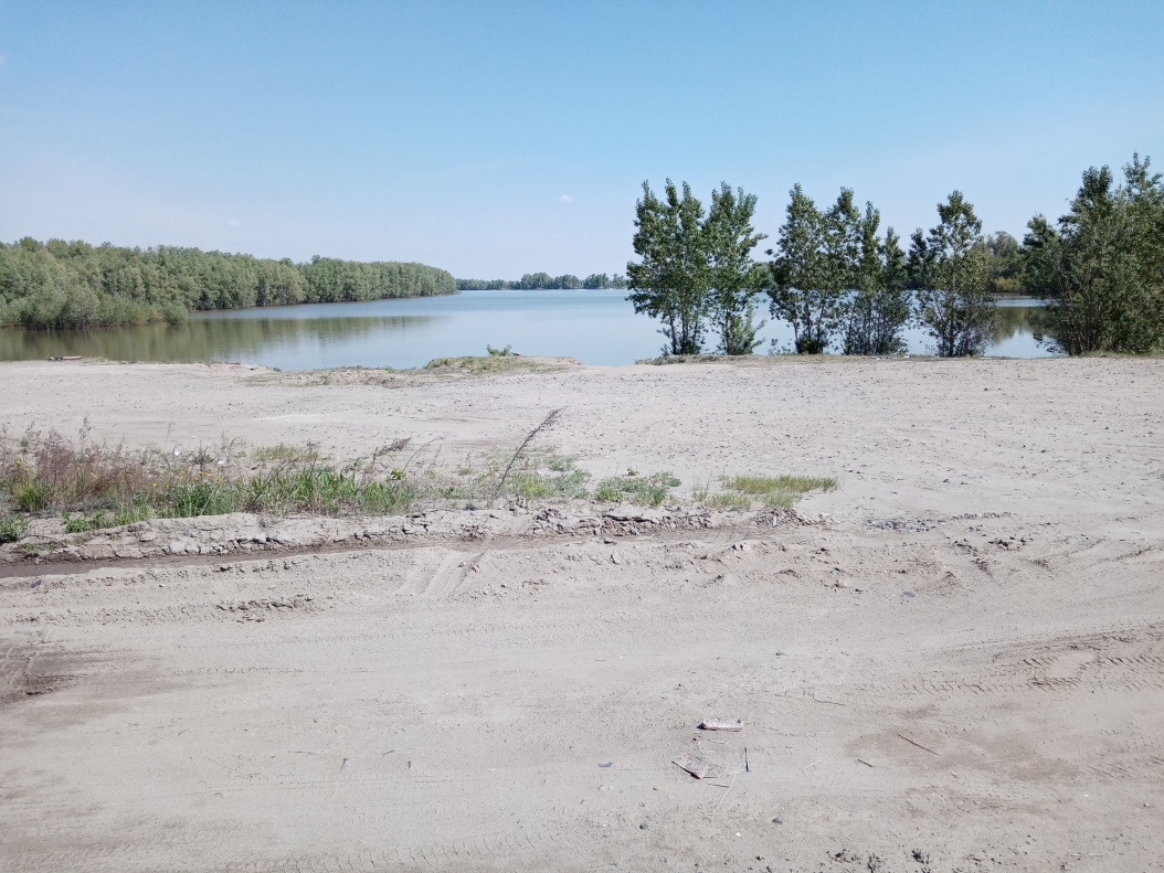 В Барнауле провели экологический рейд в водоохранной зоне