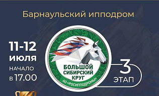 «Кубок Губернатора Алтайского края- 2024» и фестиваль орловского рысака «Сибирь-2024»  пройдут на барнаульском ипподроме