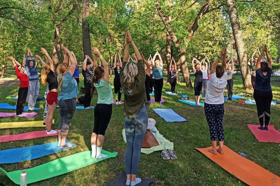 Спортивные тренировки на открытом воздухе проведут в барнаульском парке  «Изумрудный»