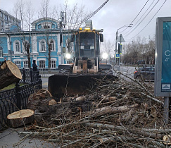 Дорожные службы устраняют последствия ночного урагана 